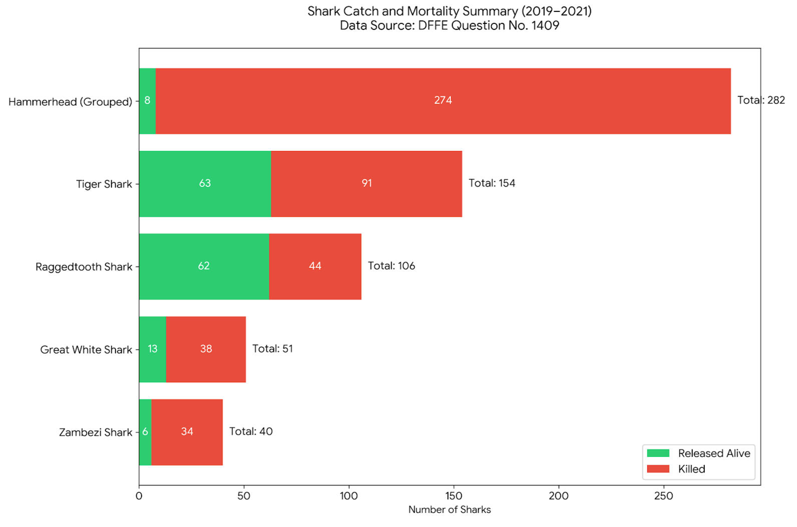 Entangled shark Hammerhead shark