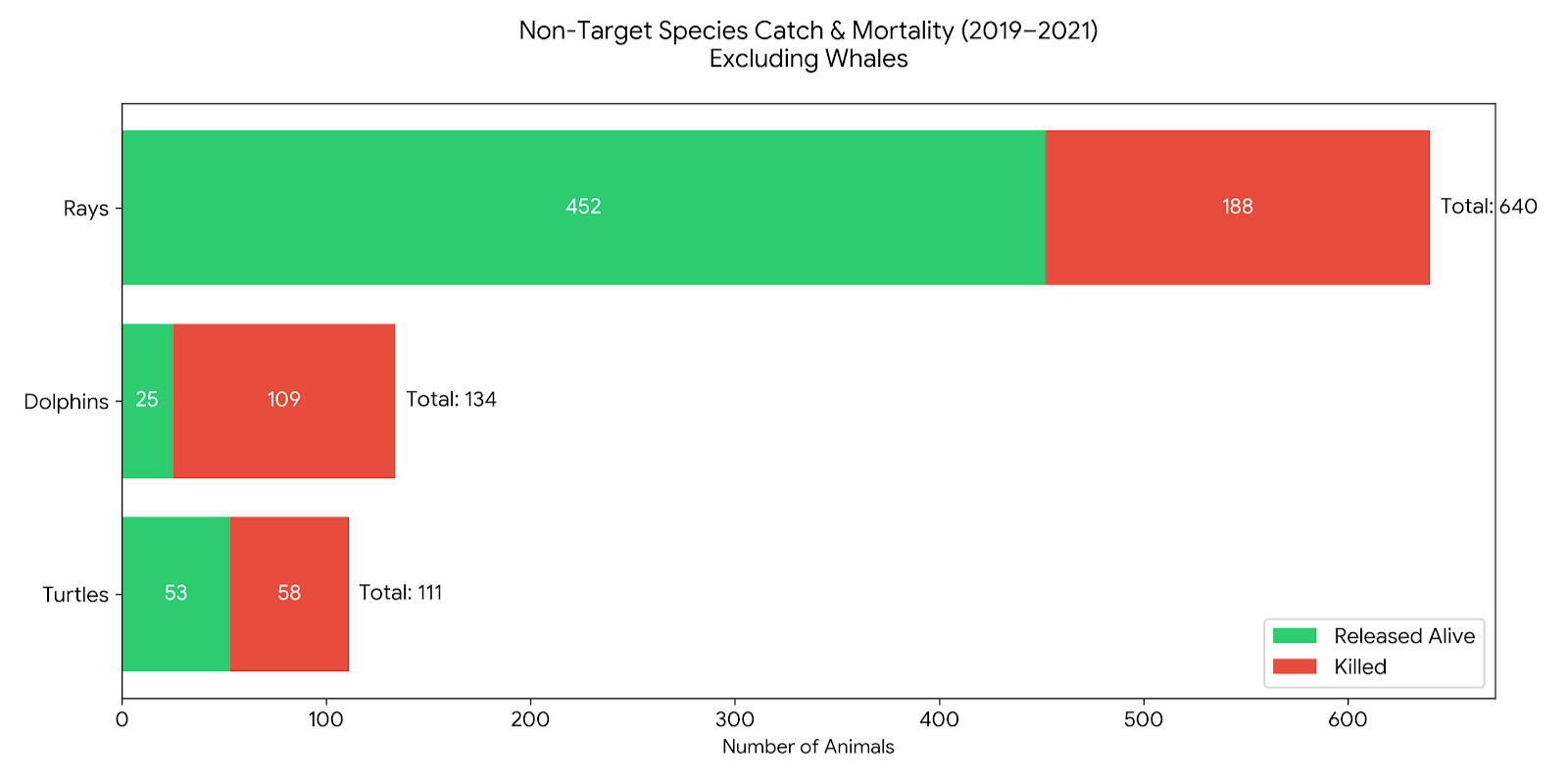 Entangled shark Hammerhead shark